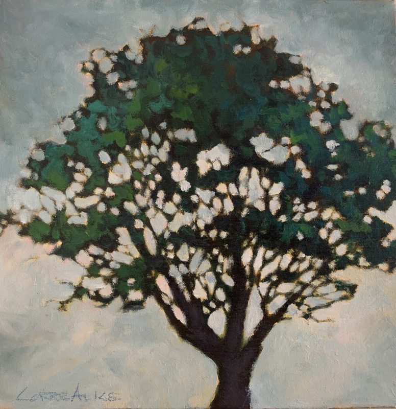 Gallery 8 Salt Spring Island - Artist Corre Alice