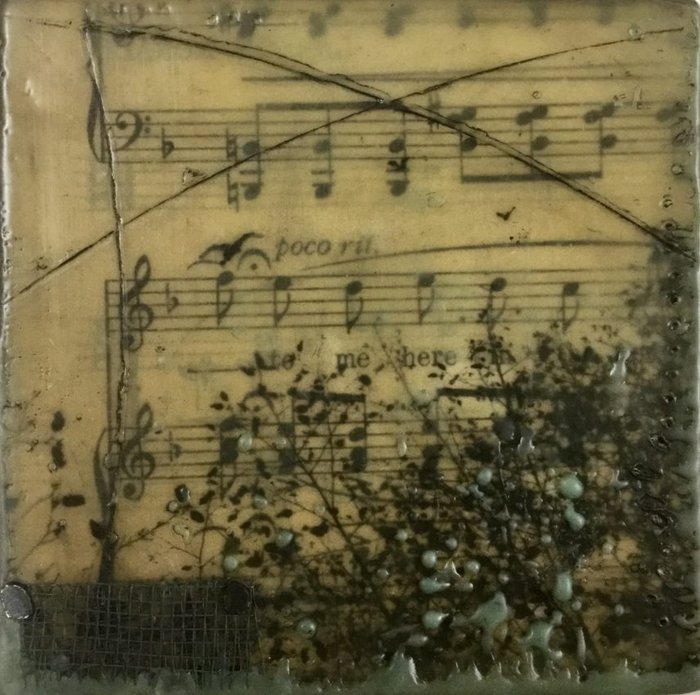 Gallery 8 Salt Spring Island - Artist Brenda Walker