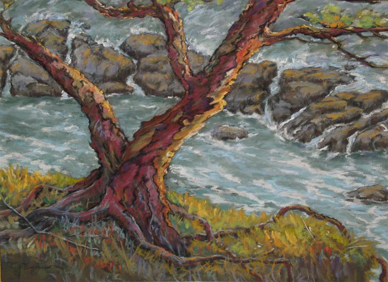 Gallery 8 Salt Spring Island - Artist Peggy Bagshaw