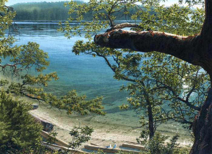 Gallery 8 Salt Spring Island - Carol Evans