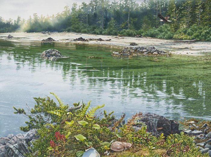 Gallery 8 Salt Spring Island - Carol Evans