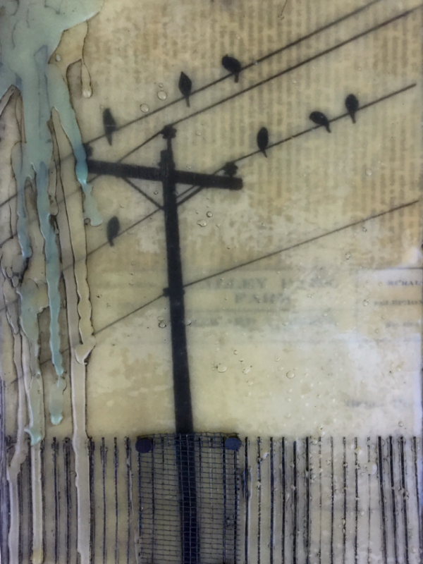 Gallery 8 Salt Spring Island - Artist Brenda Walker
