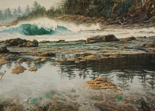 Gallery 8 Salt Spring Island - Carol Evans