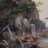 Gallery 8 Salt Spring Island - Artist Collin Elder
