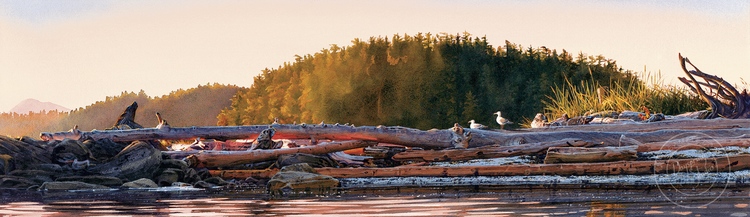 Gallery 8 Salt Spring Island - Carol Evans