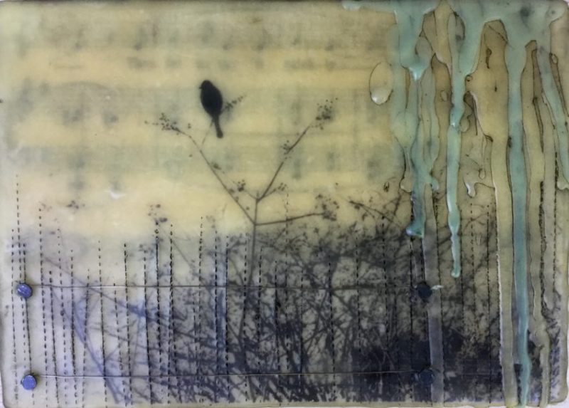Gallery 8 Salt Spring Island - Artist Brenda Walker