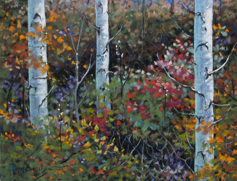 Gallery 8 Salt Spring Island - Artist Peggy Bagshaw