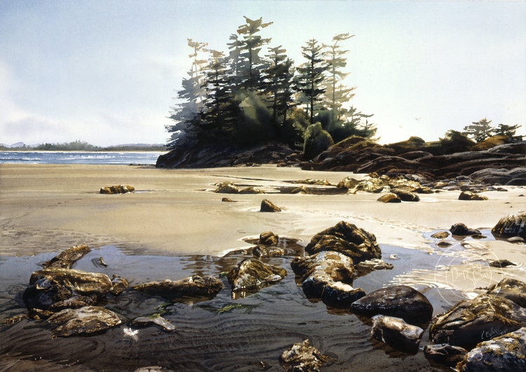 Gallery 8 Salt Spring Island - Carol Evans