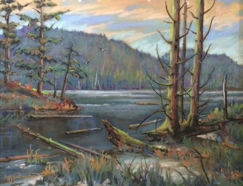 Gallery 8 Salt Spring Island - Artist Peggy Bagshaw