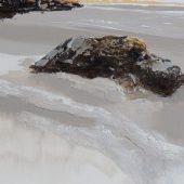 Gallery 8 Salt Spring Island - Artist Kathryn Amisson