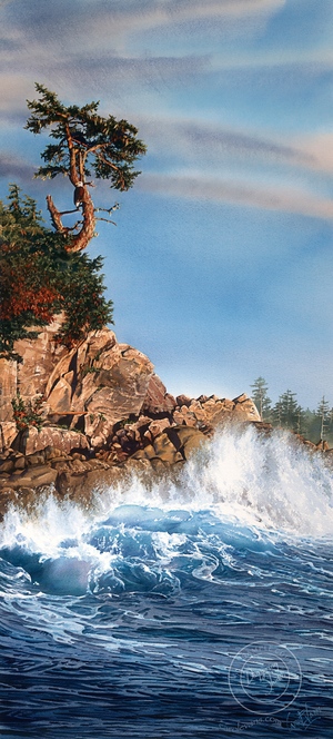 Gallery 8 Salt Spring Island - Carol Evans