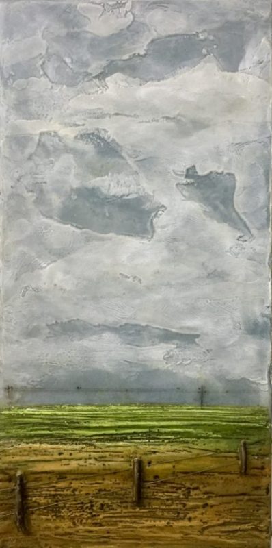 Gallery 8 Salt Spring Island - Artist Brenda Walker