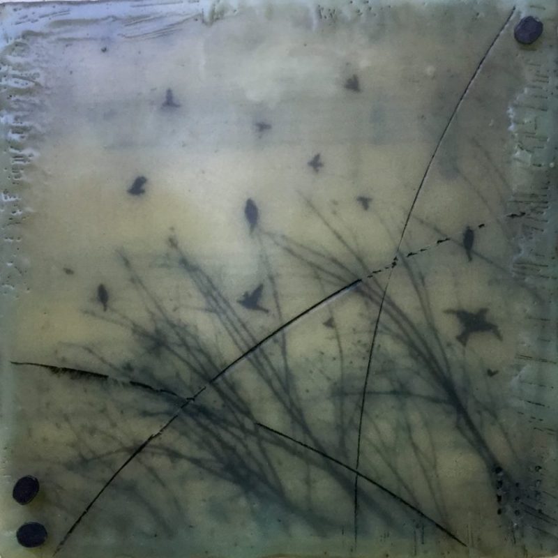 Gallery 8 Salt Spring Island - Artist Brenda Walker