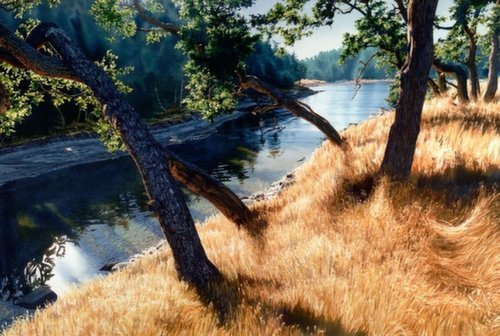 Gallery 8 Salt Spring Island - Carol Evans