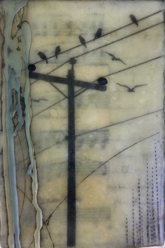 Gallery 8 Salt Spring Island - Artist Brenda Walker