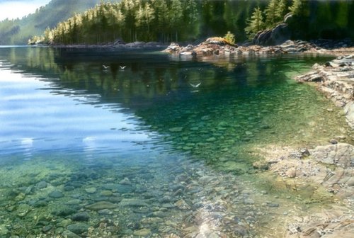 Gallery 8 Salt Spring Island - Carol Evans