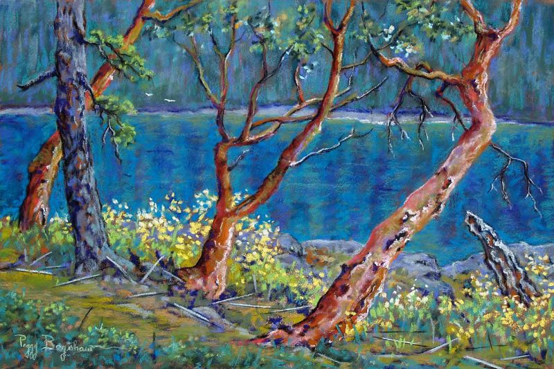 Gallery 8 Salt Spring Island - Artist Peggy Bagshaw