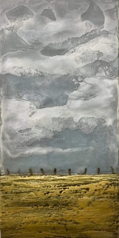 Gallery 8 Salt Spring Island - Artist Brenda Walker