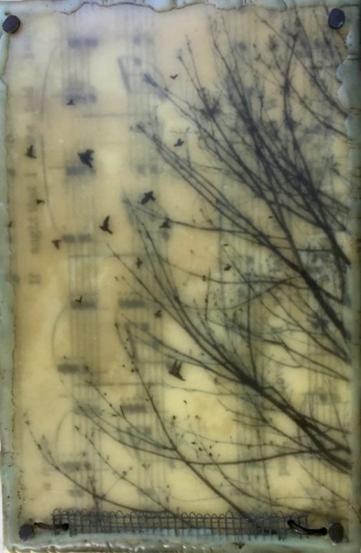 Gallery 8 Salt Spring Island - Artist Brenda Walker