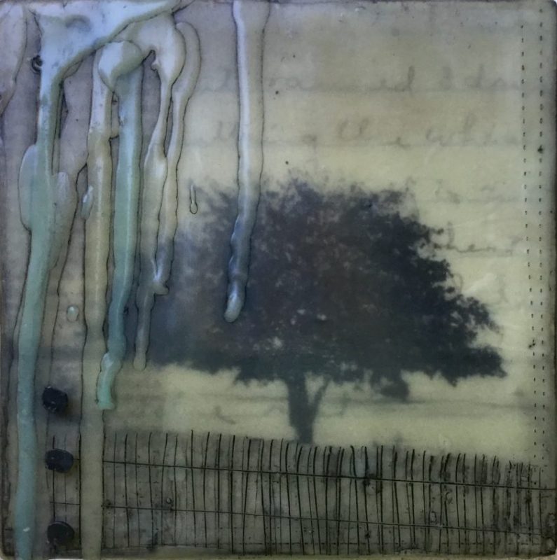 Gallery 8 Salt Spring Island - Artist Brenda Walker