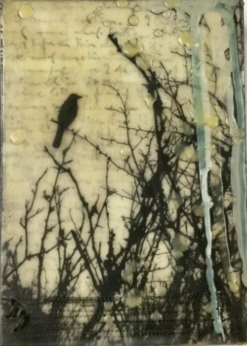 Gallery 8 Salt Spring Island - Artist Brenda Walker