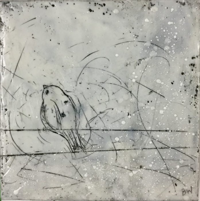 Gallery 8 Salt Spring Island - Artist Brenda Walker