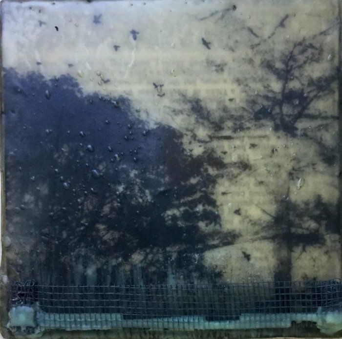 Gallery 8 Salt Spring Island - Artist Brenda Walker