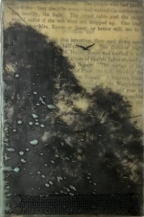 Gallery 8 Salt Spring Island - Artist Brenda Walker