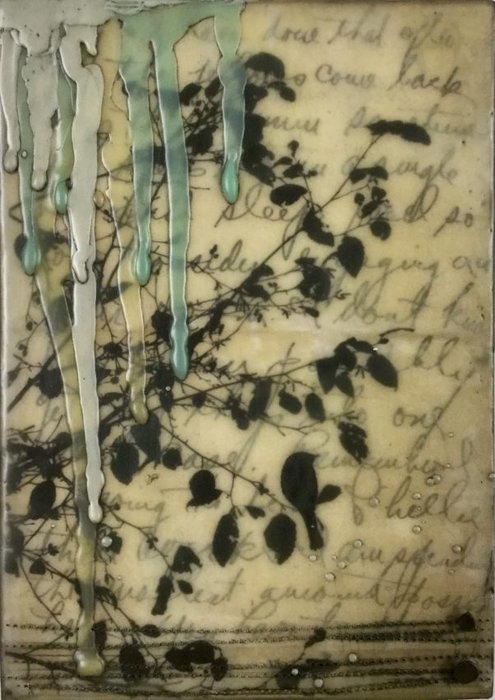 Gallery 8 Salt Spring Island - Artist Brenda Walker
