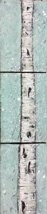 Gallery 8 Salt Spring Island - Artist Brenda Walker