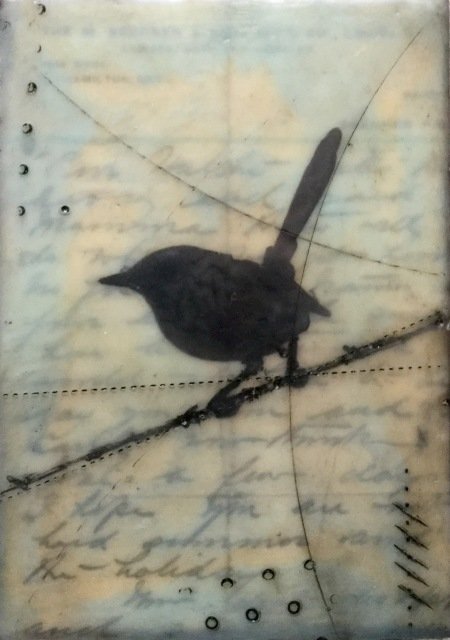 Gallery 8 Salt Spring Island - Artist Brenda Walker