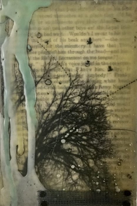 Gallery 8 Salt Spring Island - Artist Brenda Walker