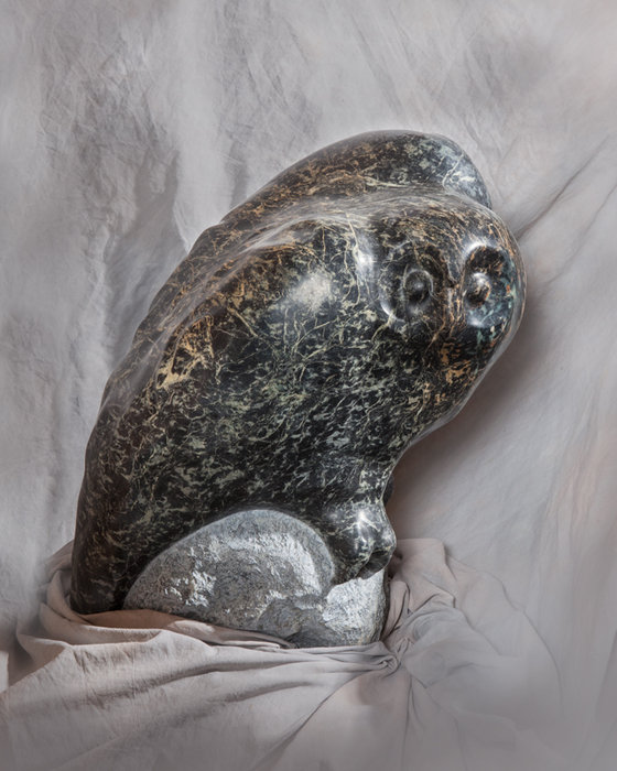 Gallery 8 Salt Spring Island - Artist Cathryn Jenkins