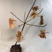 Gallery 8 Salt Spring Island - Artist Ida Marie Threadkell