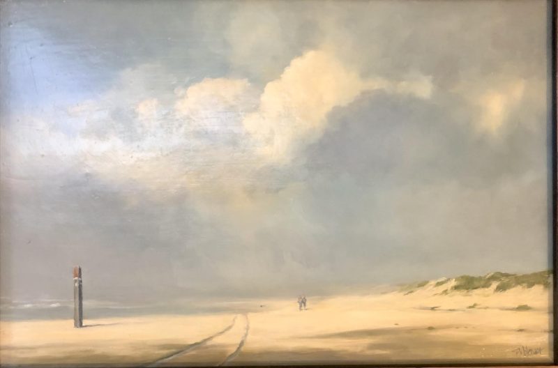 Gallery 8 Salt Spring Island - Artist Pieter Molenaar