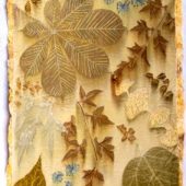 Gallery 8 Salt Spring Island - Karen Selk