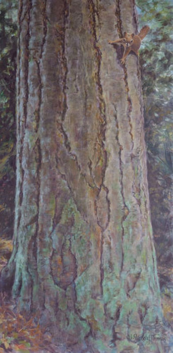 Gallery 8 Salt Spring Island - Artist Jan Sharkey Thomas