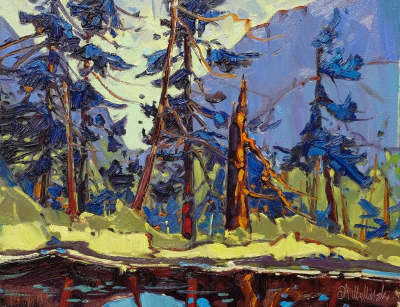 Gallery 8 Salt Spring Island - Artist Dominik J Modlinski