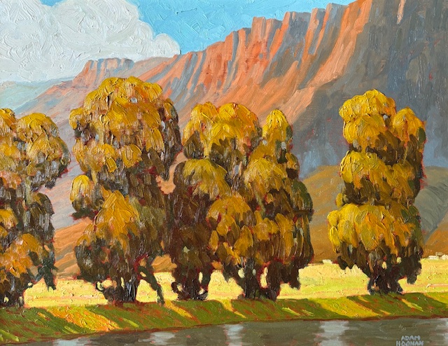 Gallery 8 Salt Spring Island - Artist Adam Noonan