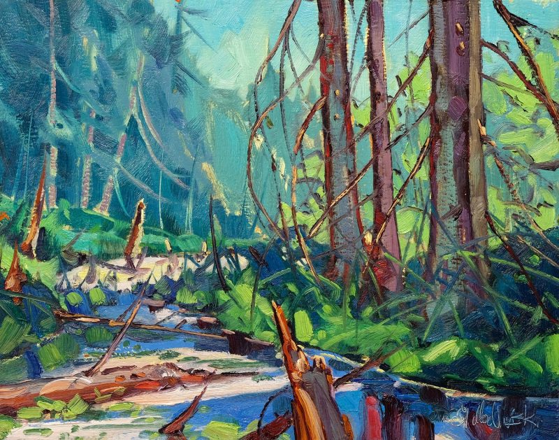 Gallery 8 Salt Spring Island - Artist Dominik J Modlinski