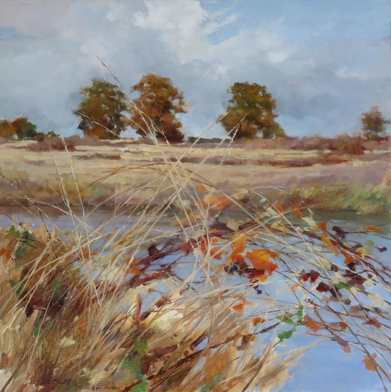 Gallery 8 Salt Spring Island - Artist Deborah Tilby