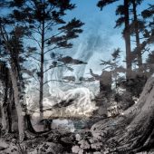 Gallery 8 Salt Spring Island - Artist Avril Kirby