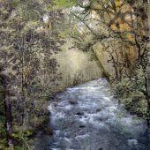 Gallery 8 Salt Spring Island - Artist Avril Kirby