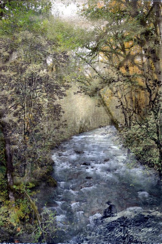 Gallery 8 Salt Spring Island - Artist Avril Kirby