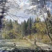 Gallery 8 Salt Spring Island - Artist Avril Kirby