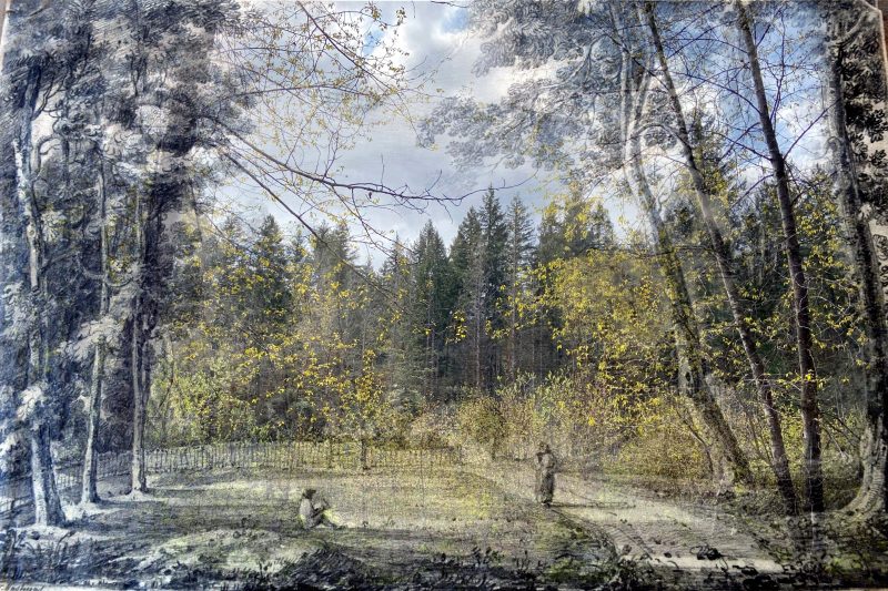 Gallery 8 Salt Spring Island - Artist Avril Kirby