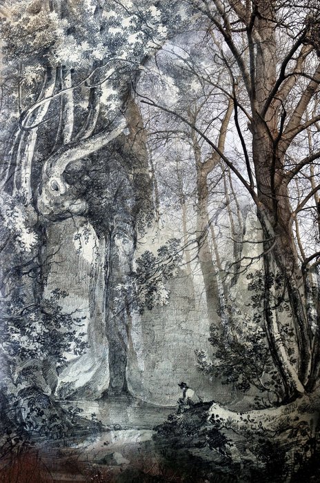 Gallery 8 Salt Spring Island-Artist Avril Kirby