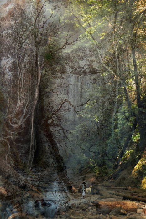 Gallery 8 Salt Spring Island-Artist Avril Kirby