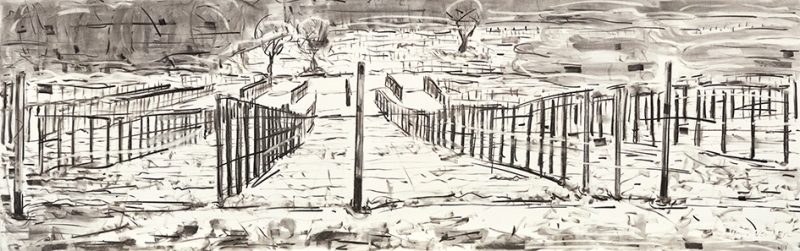 Gallery 8 Salt Spring Island - Deon Venter