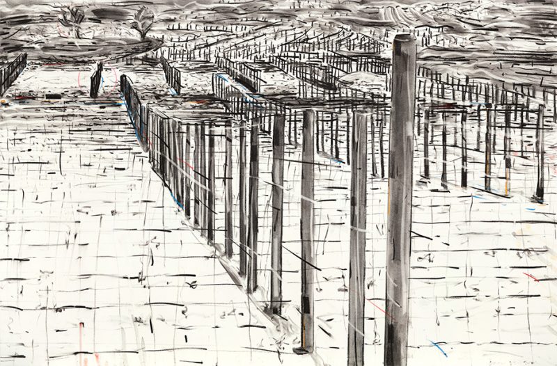 Gallery 8 Salt Spring Island - Deon Venter